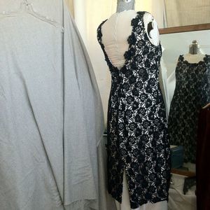 Evening Wiggle Dress - Open Back Lace and Cream